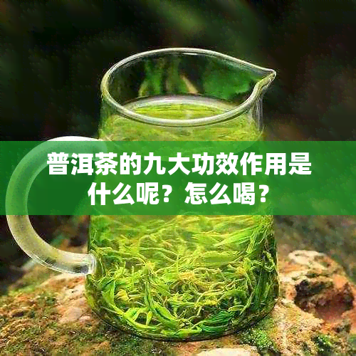 普洱茶的九大功效作用是什么呢？怎么喝？