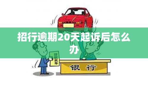 招行逾期20天起诉后怎么办