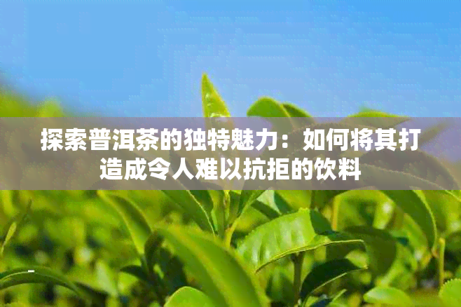 探索普洱茶的独特魅力：如何将其打造成令人难以抗拒的饮料