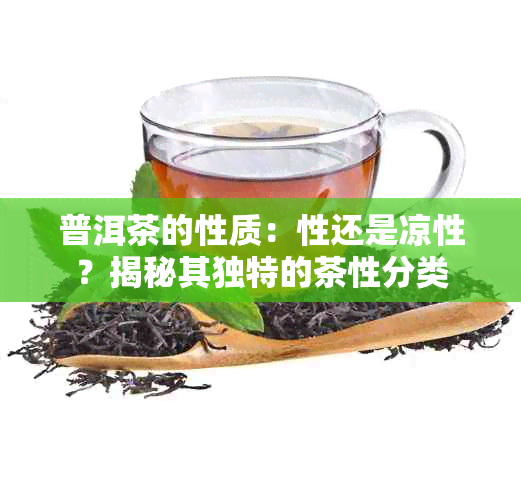 普洱茶的性质：性还是凉性？揭秘其独特的茶性分类