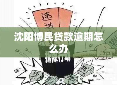 沈阳博民贷款逾期怎么办