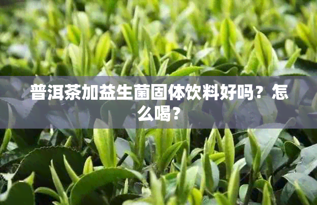 普洱茶加益生菌固体饮料好吗？怎么喝？