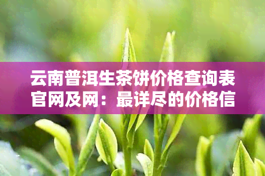 云南普洱生茶饼价格查询表官网及网：最详尽的价格信息