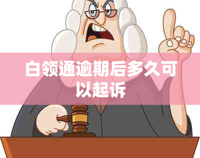 白领通逾期后多久可以起诉