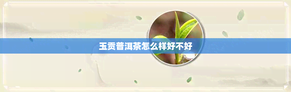 玉贡普洱茶怎么样好不好