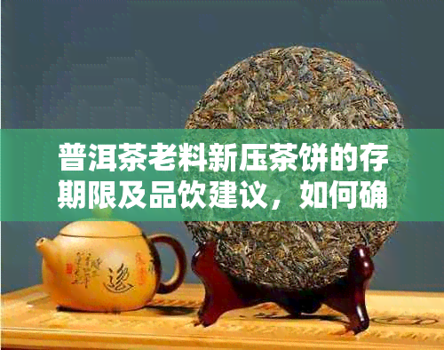 普洱茶老料新压茶饼的存期限及品饮建议，如何确保其口感与品质？