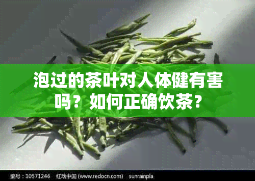 泡过的茶叶对人体健有害吗？如何正确饮茶？