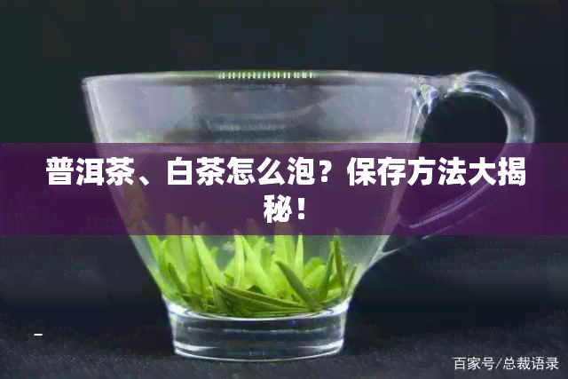 普洱茶、白茶怎么泡？保存方法大揭秘！