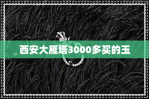 西安大雁塔3000多买的玉