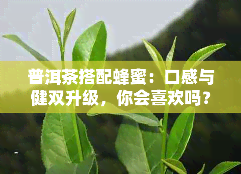 普洱茶搭配蜂蜜：口感与健双升级，你会喜欢吗？