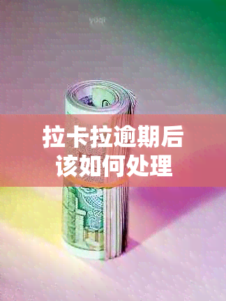 拉卡拉逾期后该如何处理