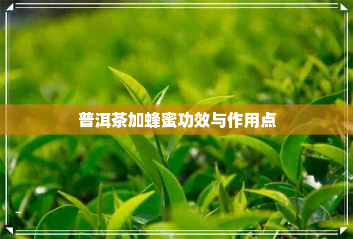 普洱茶加蜂蜜功效与作用点