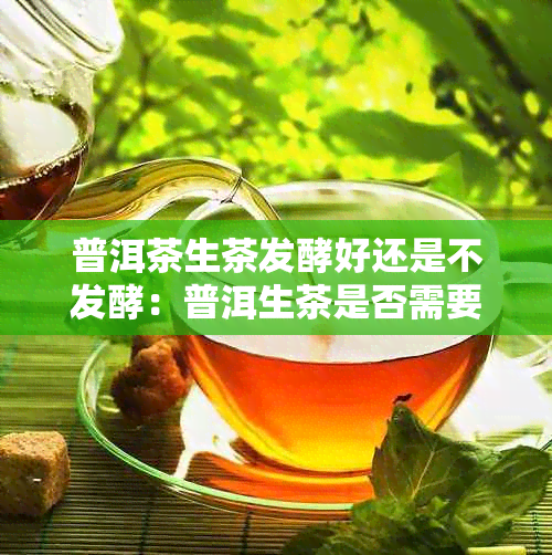 普洱茶生茶发酵好还是不发酵：普洱生茶是否需要发酵？