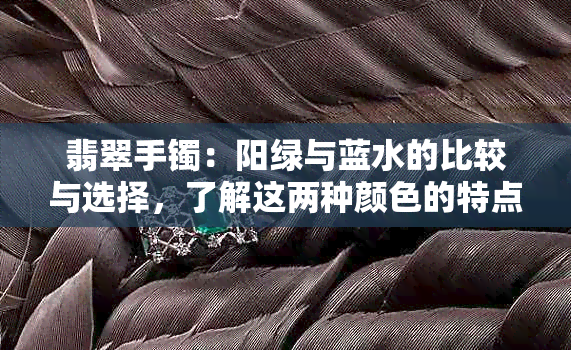 翡翠手镯：阳绿与蓝水的比较与选择，了解这两种颜色的特点与价值