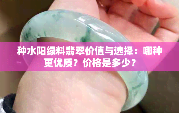 种水阳绿料翡翠价值与选择：哪种更优质？价格是多少？