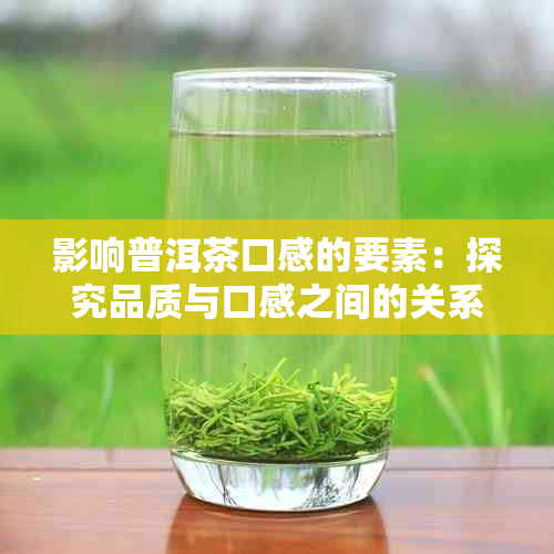 影响普洱茶口感的要素：探究品质与口感之间的关系