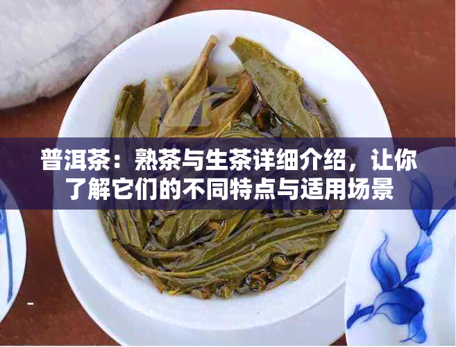 普洱茶：熟茶与生茶详细介绍，让你了解它们的不同特点与适用场景