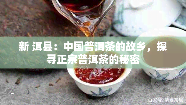 新 洱县：中国普洱茶的故乡，探寻正宗普洱茶的秘密