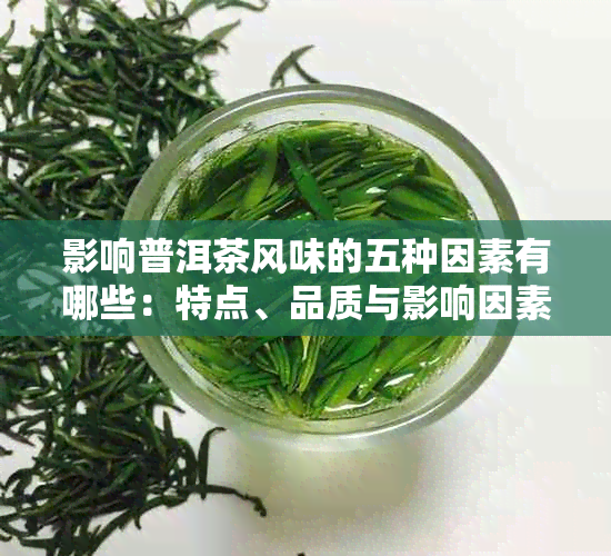 影响普洱茶风味的五种因素有哪些：特点、品质与影响因素全面解析