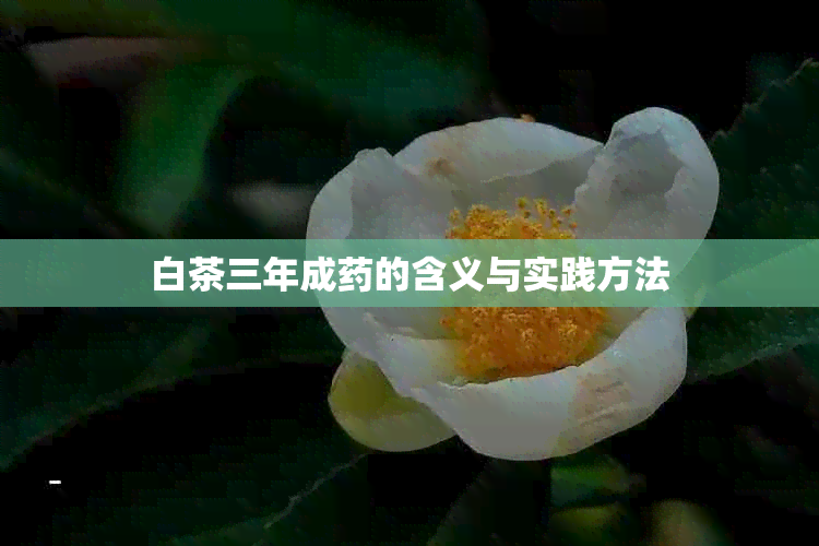 白茶三年成的含义与实践方法