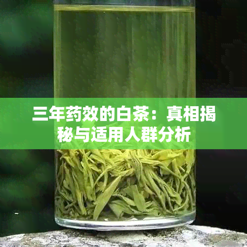 三年效的白茶：真相揭秘与适用人群分析