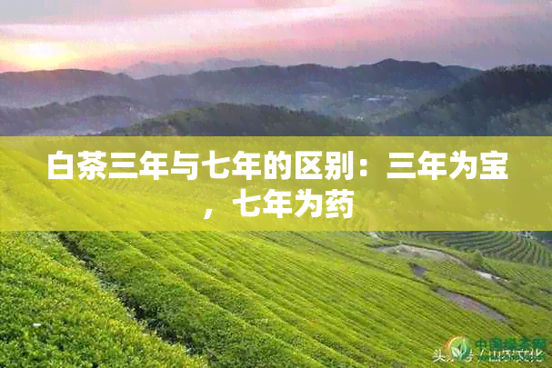 白茶三年与七年的区别：三年为宝，七年为