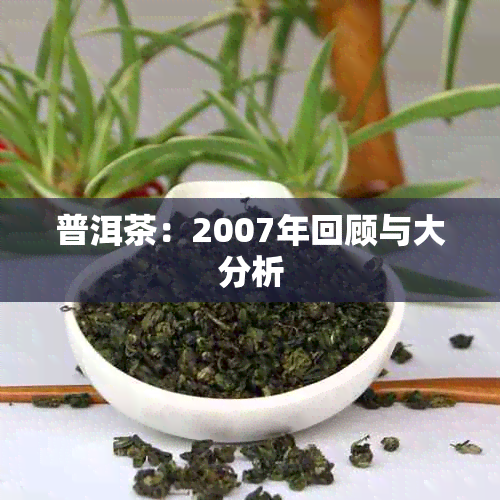 普洱茶：2007年回顾与大分析