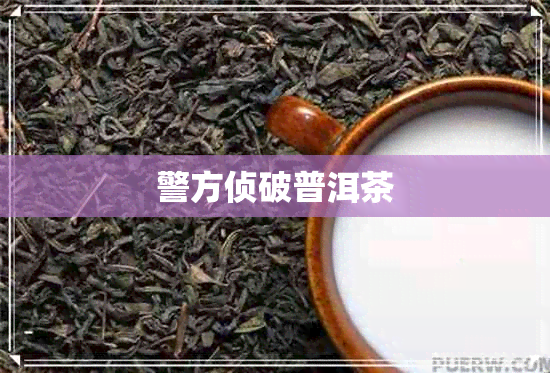 警方侦破普洱茶