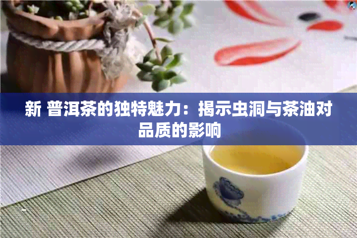 新 普洱茶的独特魅力：揭示虫洞与茶油对品质的影响