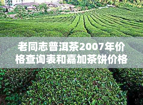 老同志普洱茶2007年价格查询表和嘉加茶饼价格