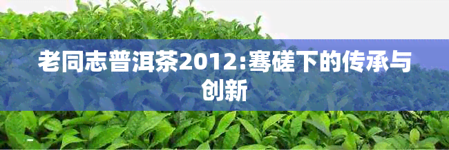 老同志普洱茶2012:骞磋下的传承与创新