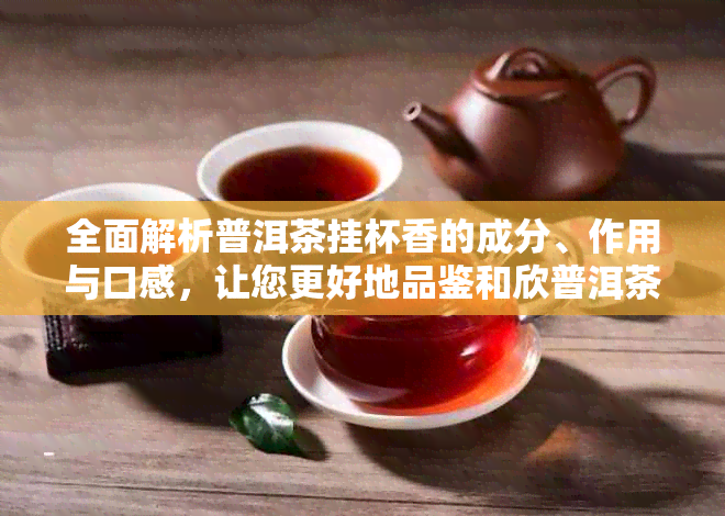 全面解析普洱茶挂杯香的成分、作用与口感，让您更好地品鉴和欣普洱茶