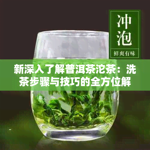 新深入了解普洱茶沱茶：洗茶步骤与技巧的全方位解读