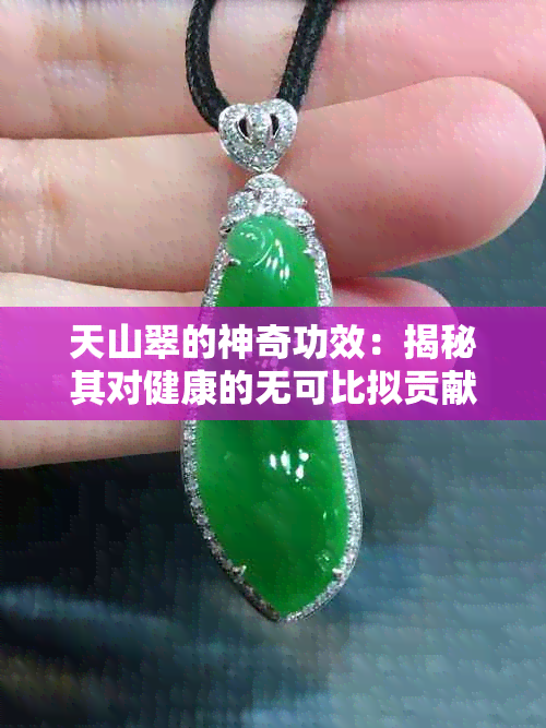 天山翠的神奇功效：揭秘其对健康的无可比拟贡献