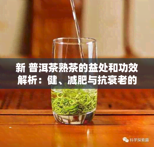 新 普洱茶熟茶的益处和功效解析：健、减肥与抗衰老的秘密