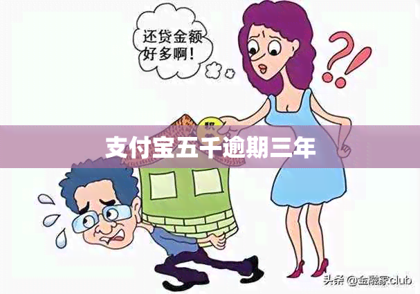 支付宝五千逾期三年