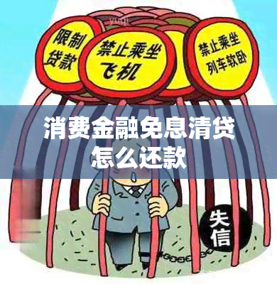 消费金融免息清贷怎么还款