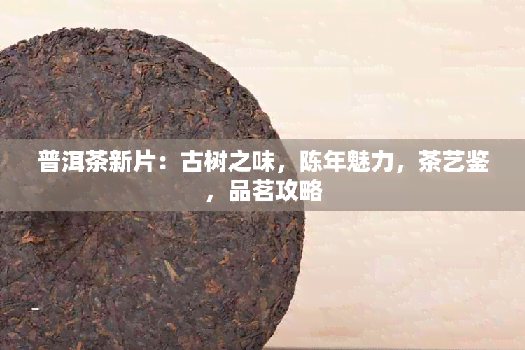 普洱茶新片：古树之味，陈年魅力，茶艺鉴，品茗攻略