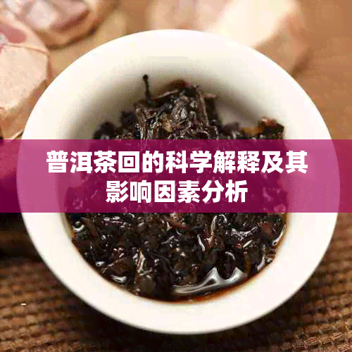 普洱茶回的科学解释及其影响因素分析