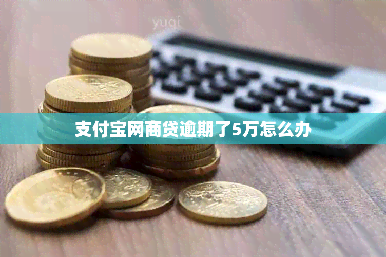 支付宝网商贷逾期了5万怎么办