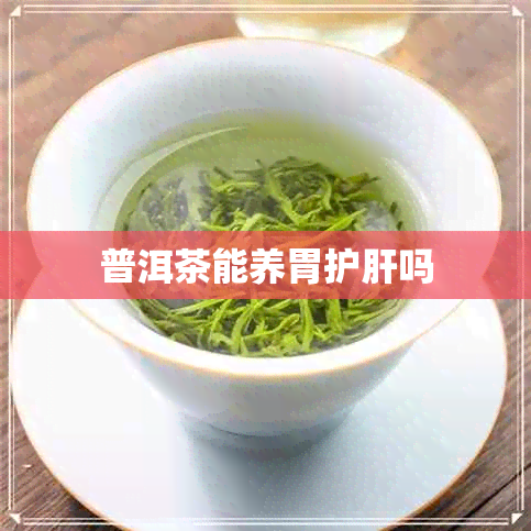 普洱茶能养胃护肝吗