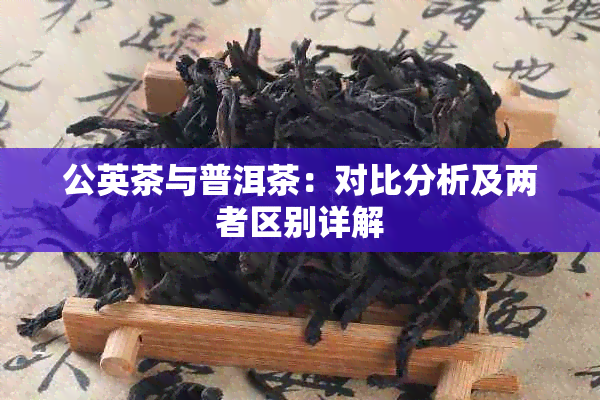 公英茶与普洱茶：对比分析及两者区别详解