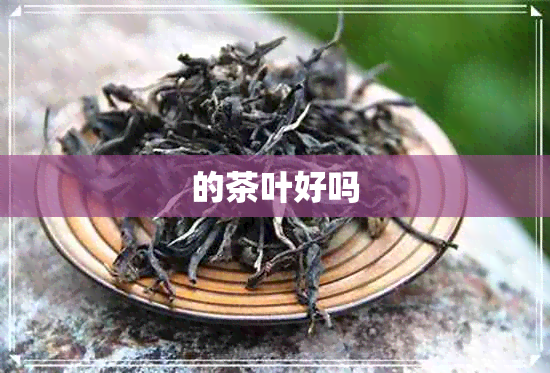 的茶叶好吗