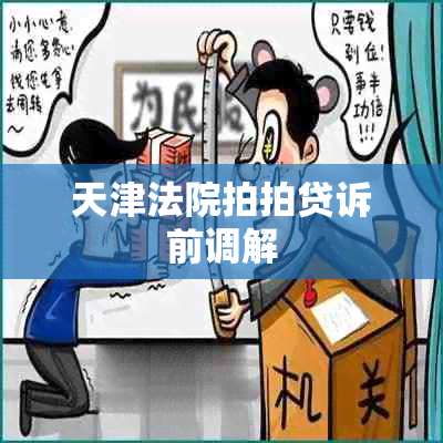 天津法院拍拍贷诉前调解