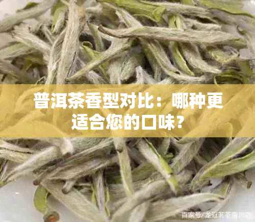 普洱茶香型对比：哪种更适合您的口味？