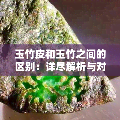 玉竹皮和玉竹之间的区别：详尽解析与对比，帮助您更好地了解这两种材料