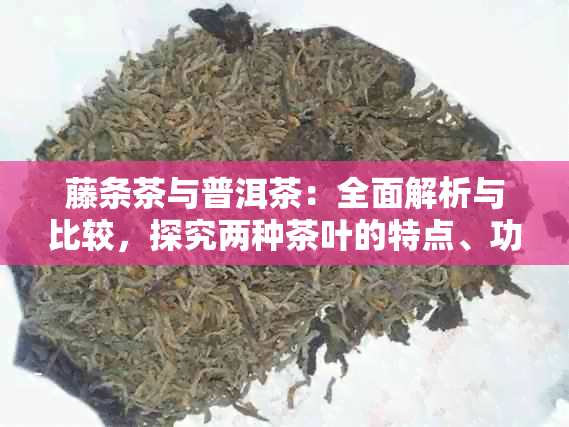 藤条茶与普洱茶：全面解析与比较，探究两种茶叶的特点、功效和冲泡方法