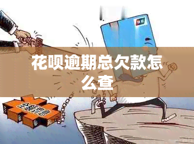 花呗逾期总欠款怎么查