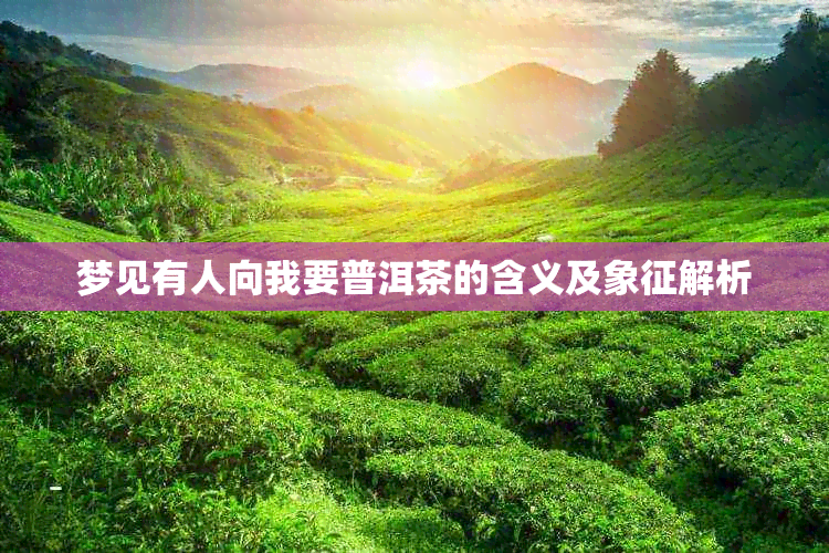 梦见有人向我要普洱茶的含义及象征解析