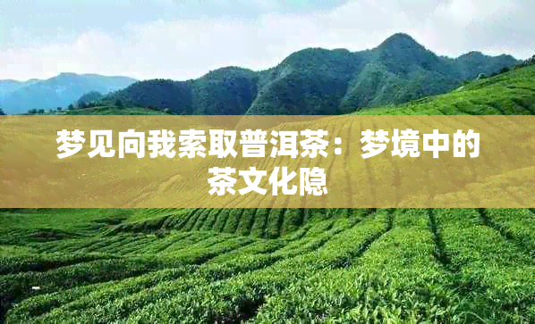 梦见向我索取普洱茶：梦境中的茶文化隐